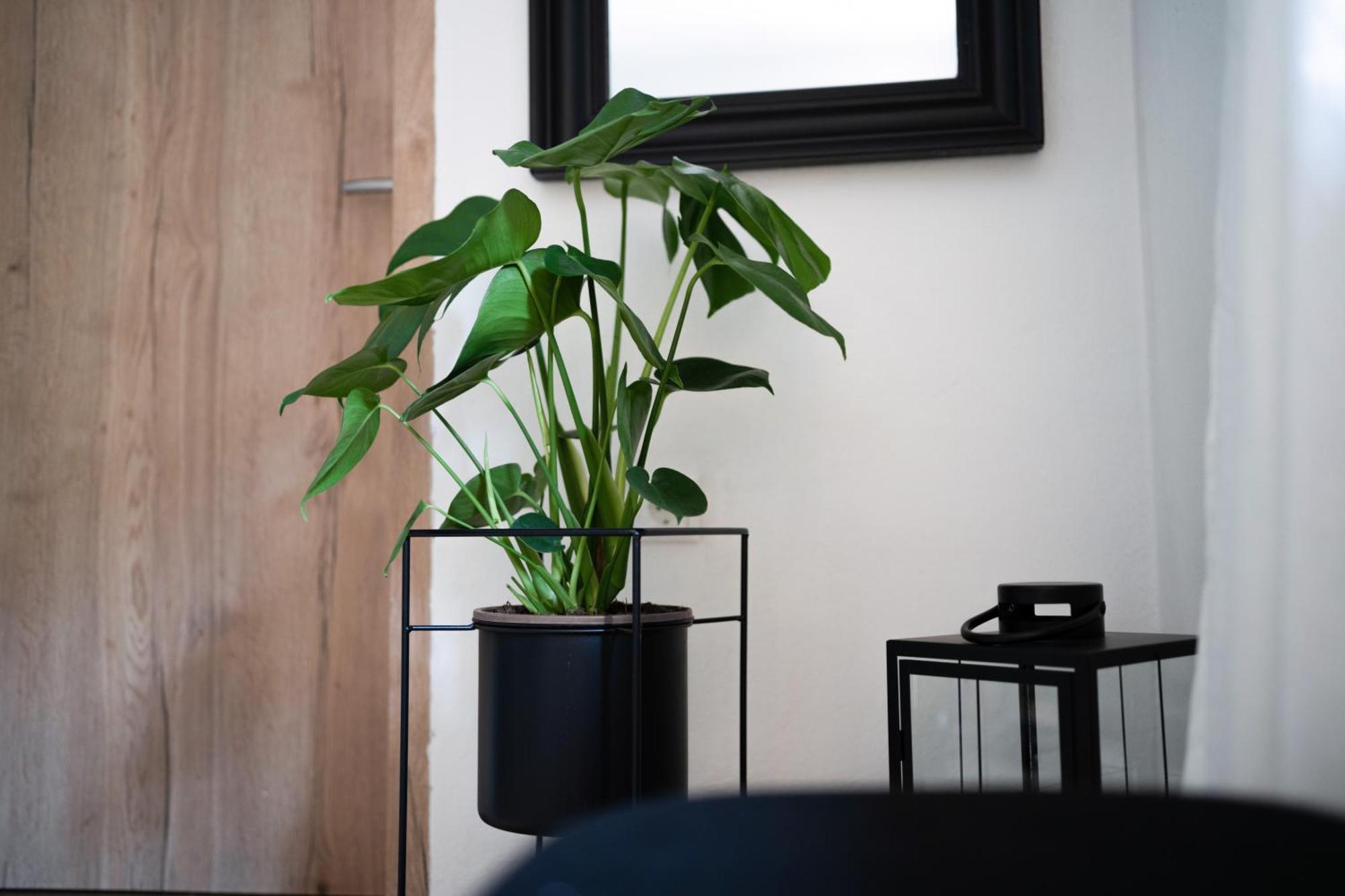 Ferienwohnung Am Siglhof Samerberg Esterno foto